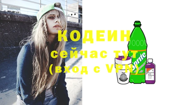СК Бронницы