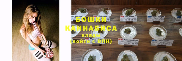 крисы Данков