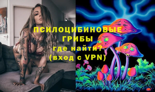 гидра Бородино