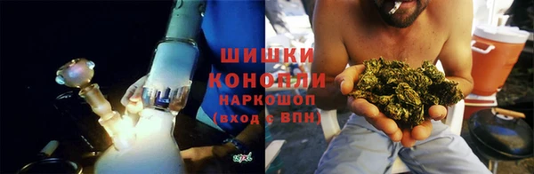 гидра Верея