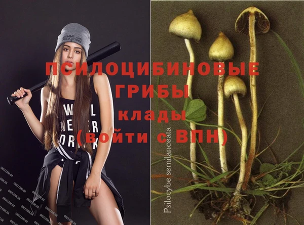 СК Бронницы