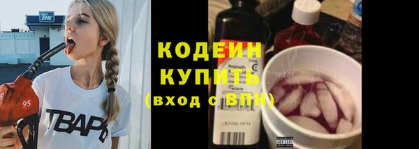 гидра Бородино