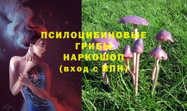 гидра Верея