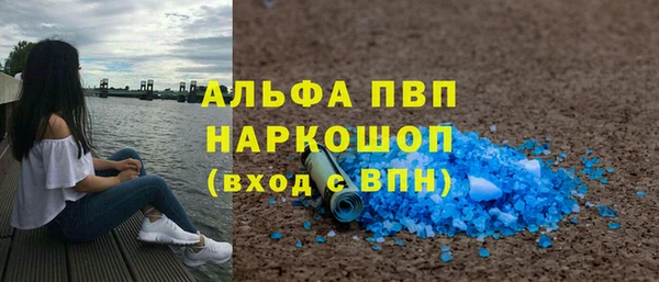 индика Снежногорск