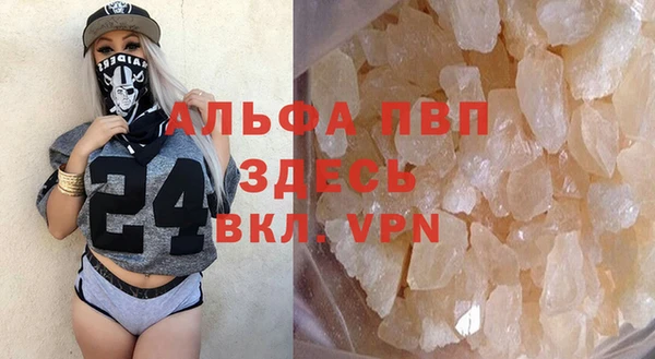 гидра Бородино