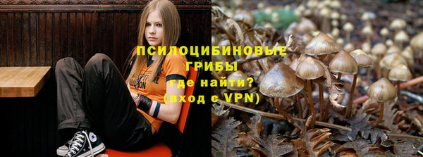 сатива Богданович