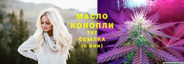 гидра Бородино