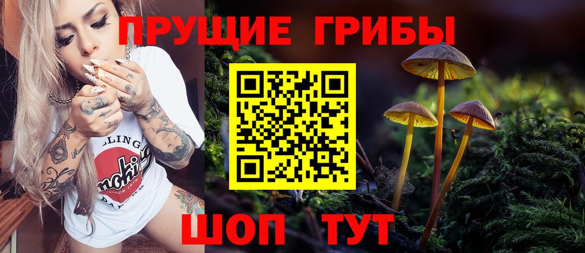 Наро-Фоминск  Псилоцибиновые грибы Psilocybe  сколько стоит  Вход с VPN  Псилоцибиновые грибы MAGIC MUSHROOMS 
